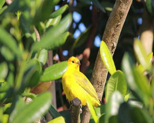 customer testimonial photo 2